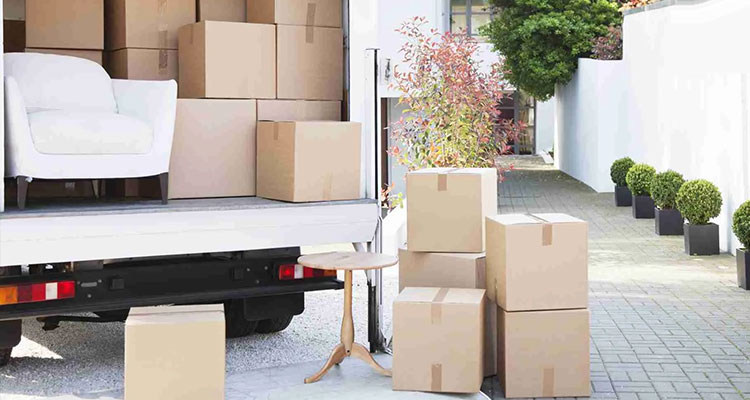 Household Shifting in Raebareli